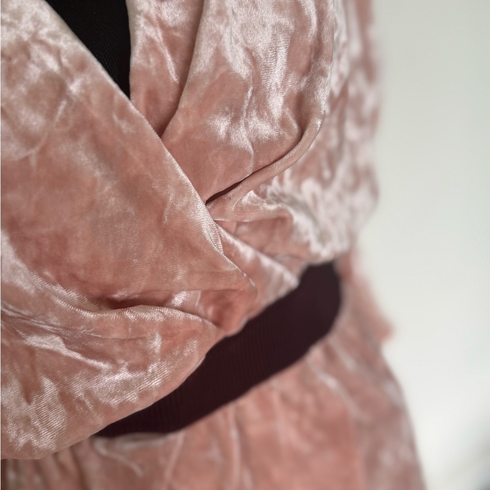 Eva Mendes for New York & Company Pink Velvet Long Sleeve Dress - Picture 5 of 5